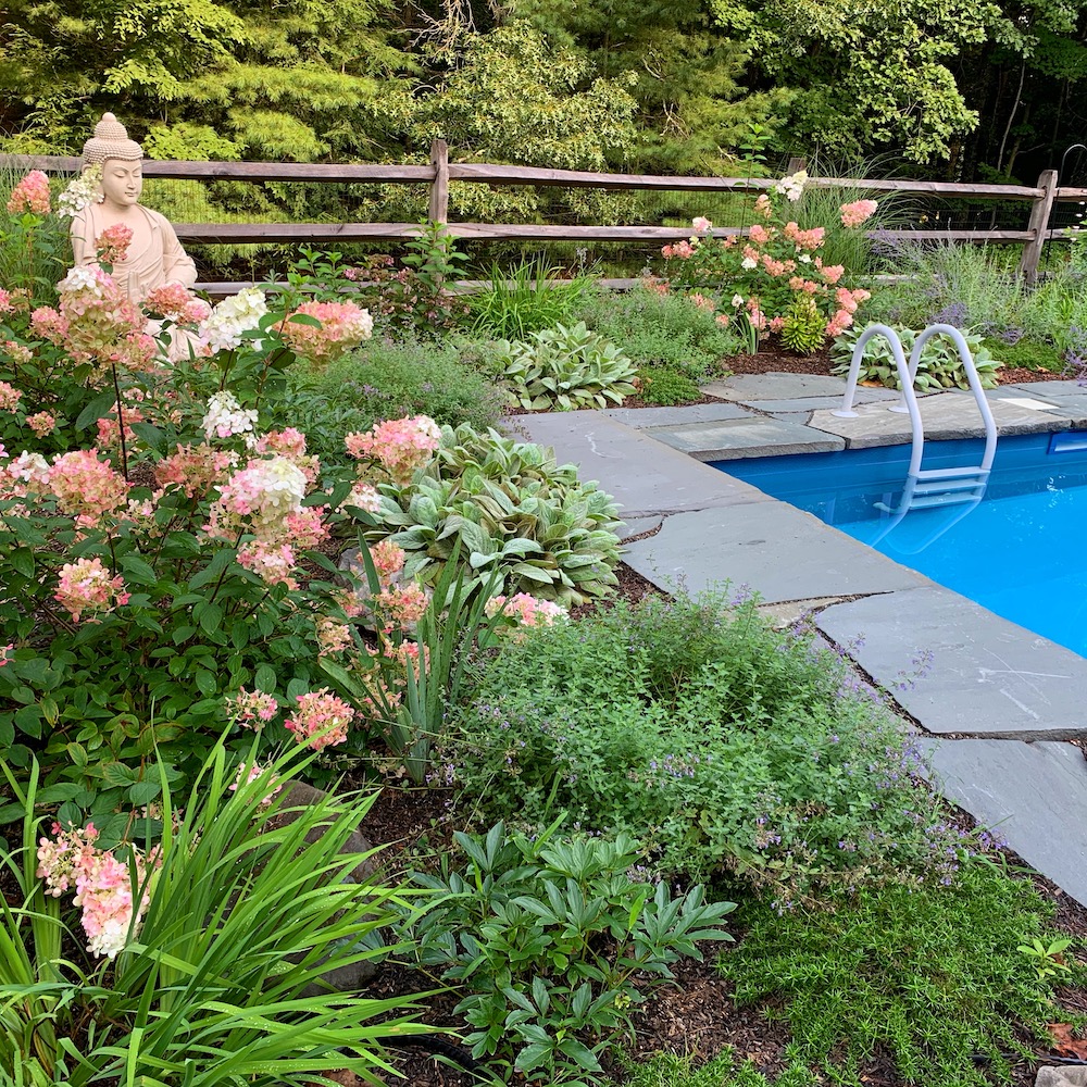 Carol Washington Landscape Designer in Saugerties NY