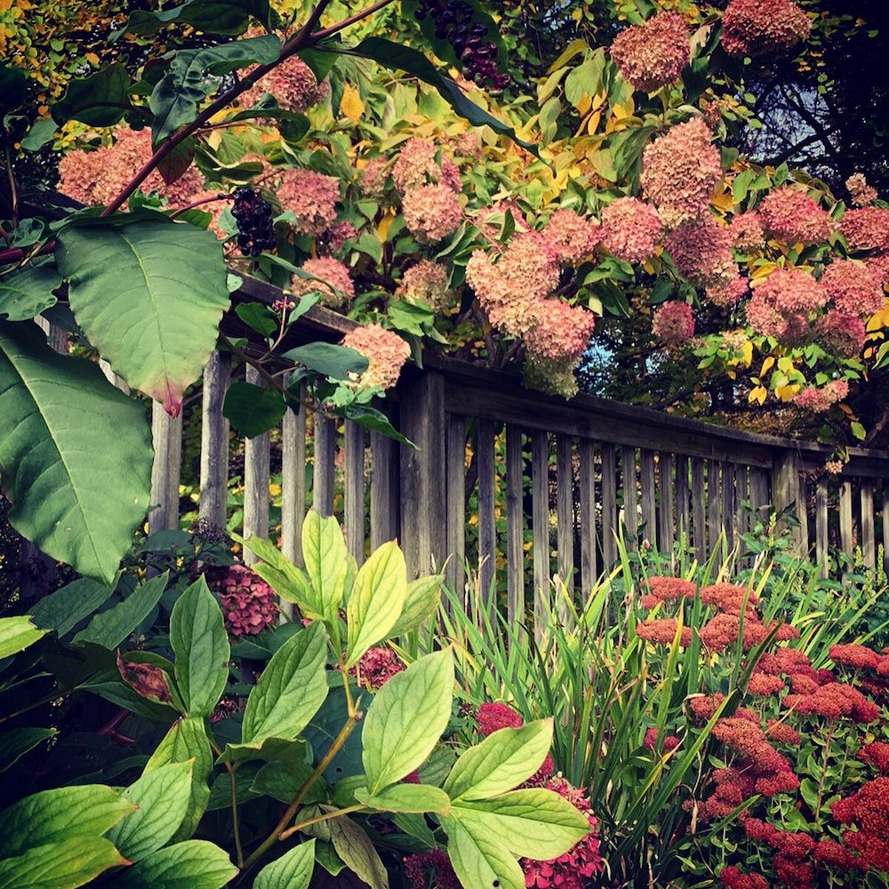 Carol Washington Landscape Designer in Saugerties NY