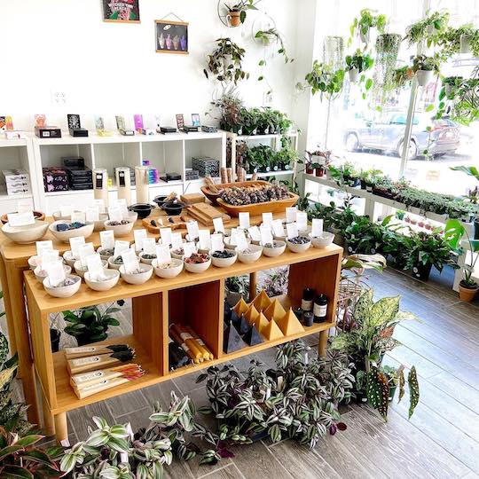 Ritualist Store in New Platz NY
