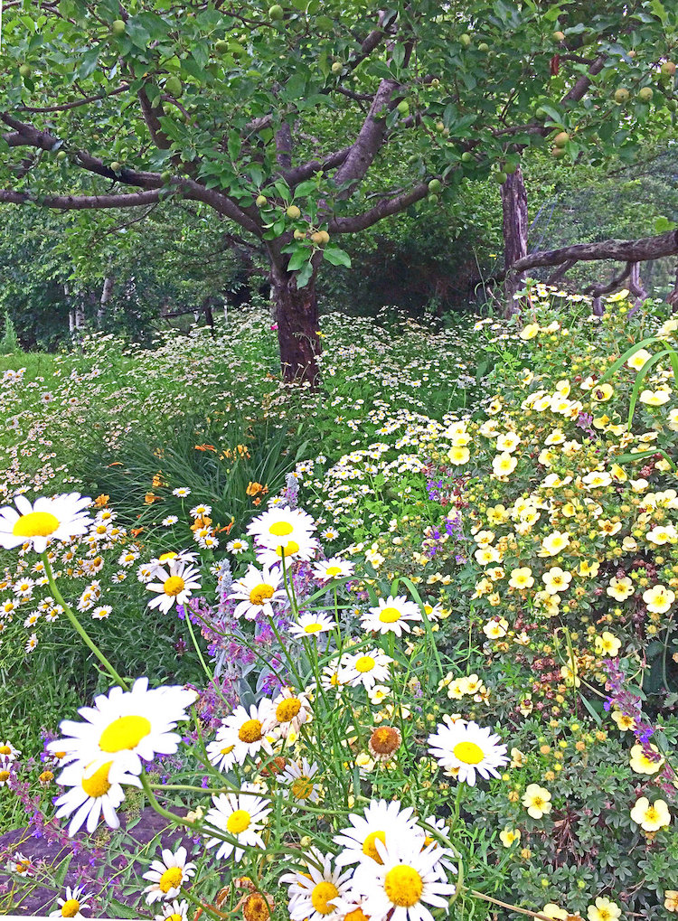 Carol Washington Landscape Designer in Saugerties NY