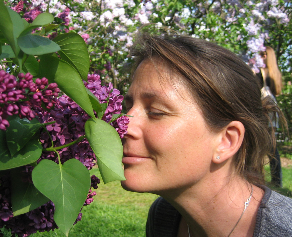 Carol Washington Landscape Designer in Saugerties NY
