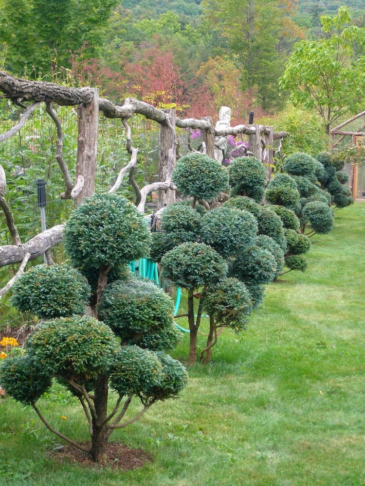 Carol Washington Landscape Designer in Saugerties NY