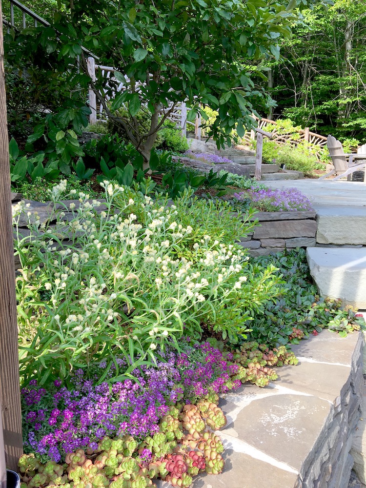 Carol Washington Landscape Designer in Saugerties NY