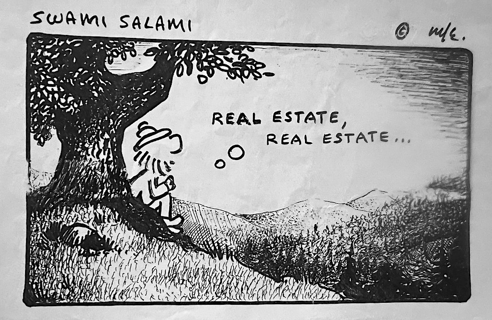 Michael Esposito Swami Salami Cartoons