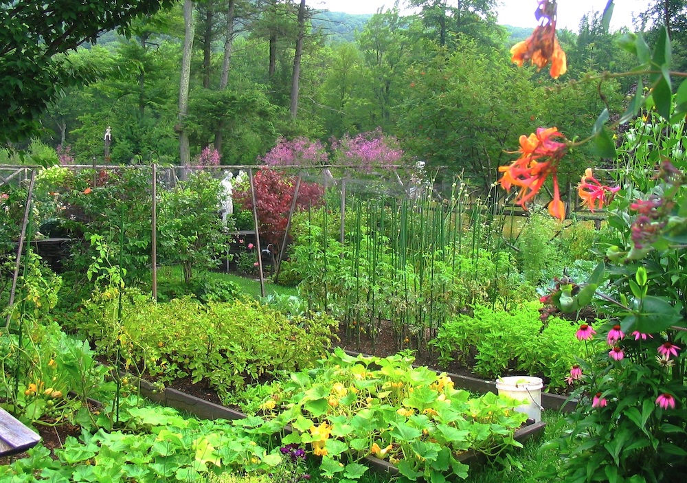 Carol Washington Landscape Designer in Saugerties NY