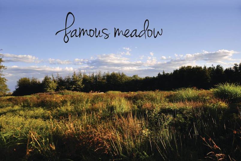 Famous Meadow in Woodstock NY