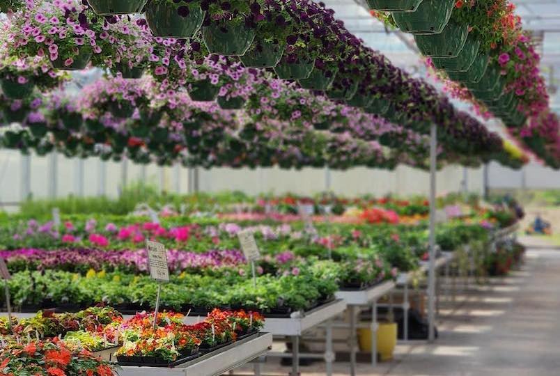 Samascott's Orchards: Garden Market in Kinderhook NY
