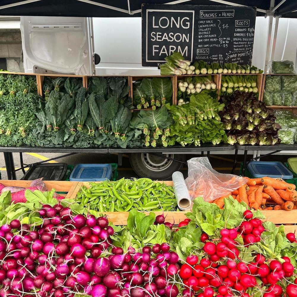 Long Year Farm