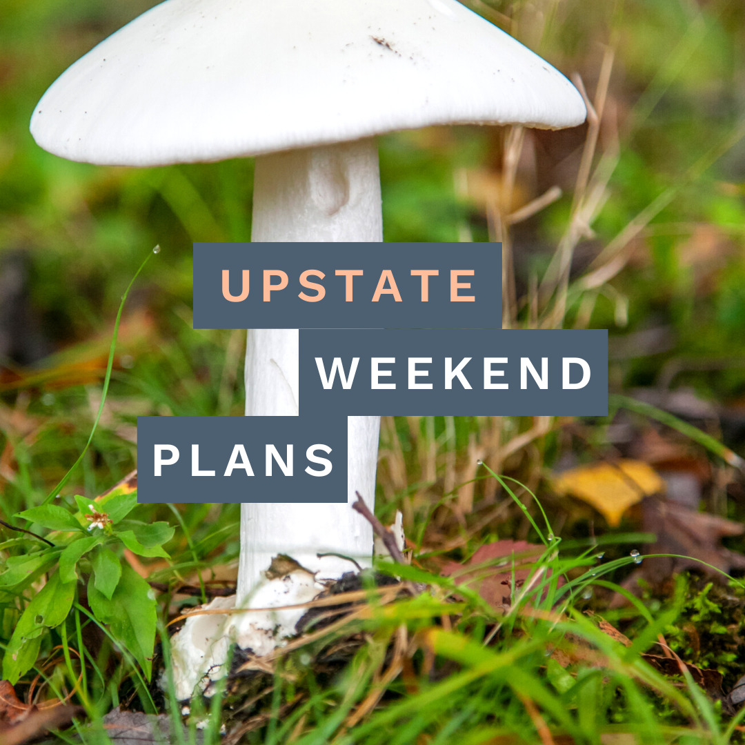 MUSHROOM with the "Upstate Weekend Plans" text written across the photo for the Hudson Valley, NY.