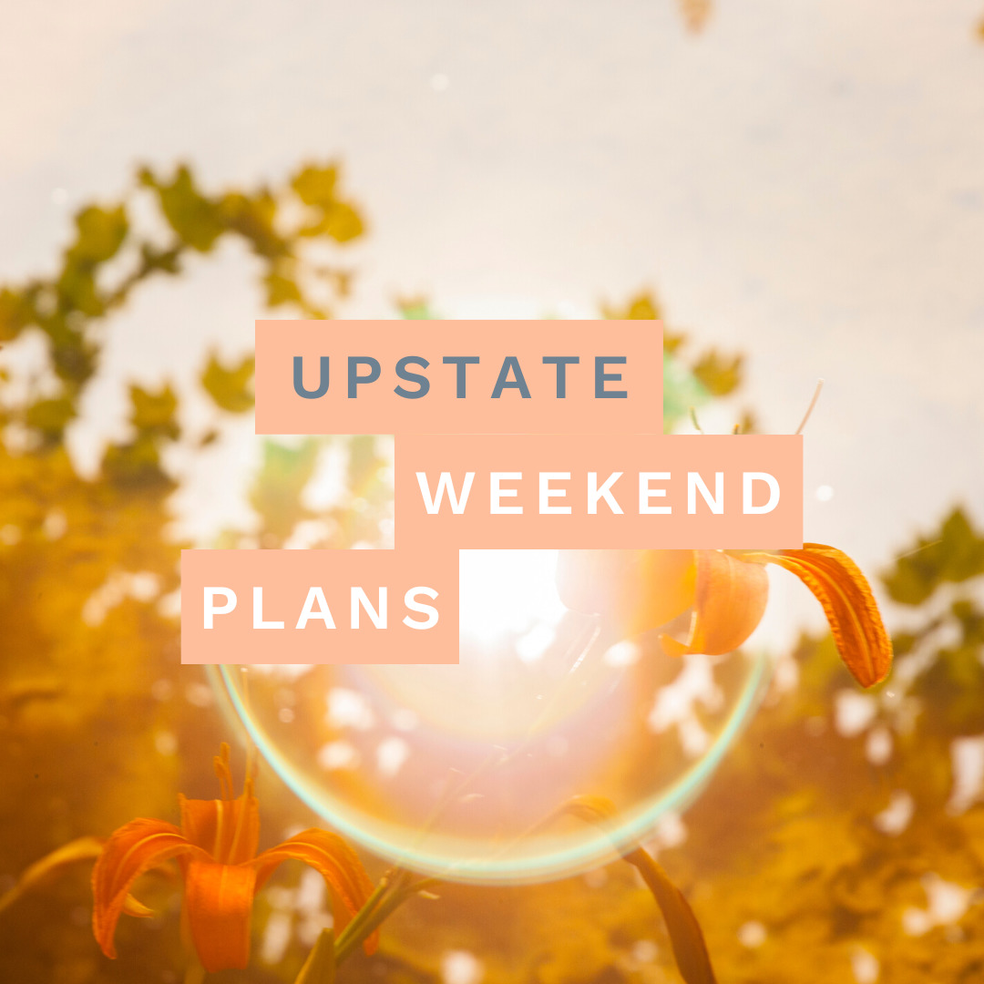 flowers in the sunlight with the "Upstate Weekend Plans" text written across the photo for the Hudson Valley, NY.