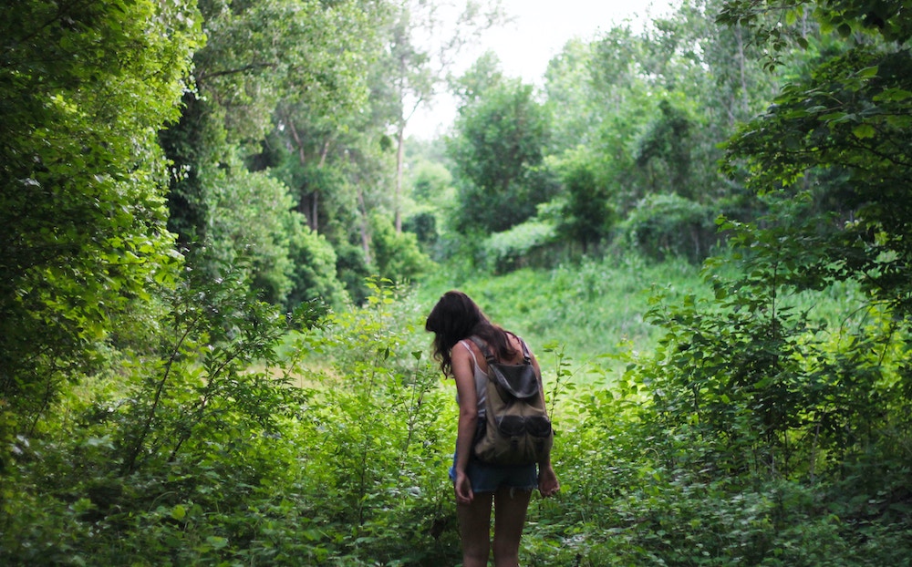 Beth Weinstein on Psychedelics in the hudson valley