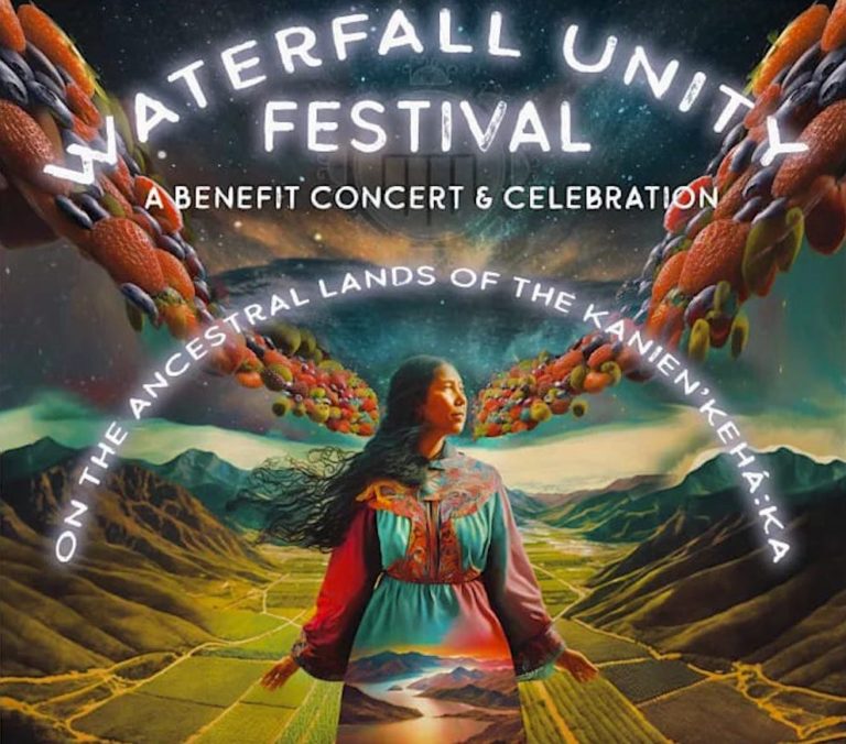 2023 Waterfall Alliance Festival