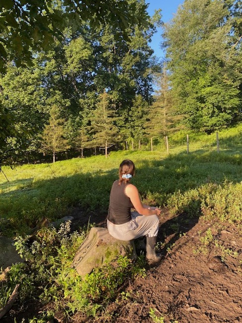 Gimme the Dirt On… A Farm Apprentice at Hilltop Wagyu Beef + Cheese Farm