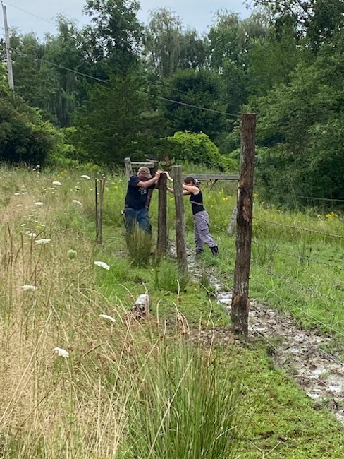 Gimme the Dirt On… A Farm Apprentice at Hilltop Wagyu Beef + Cheese Farm