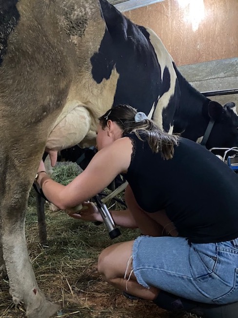 Gimme the Dirt On… A Farm Apprentice at Hilltop Wagyu Beef + Cheese Farm