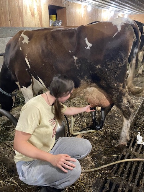 Gimme the Dirt On… A Farm Apprentice at Hilltop Wagyu Beef + Cheese Farm