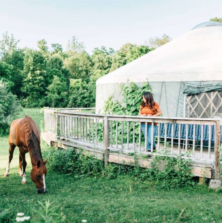 Tim and Beth's Country and Farm in Accord, NY