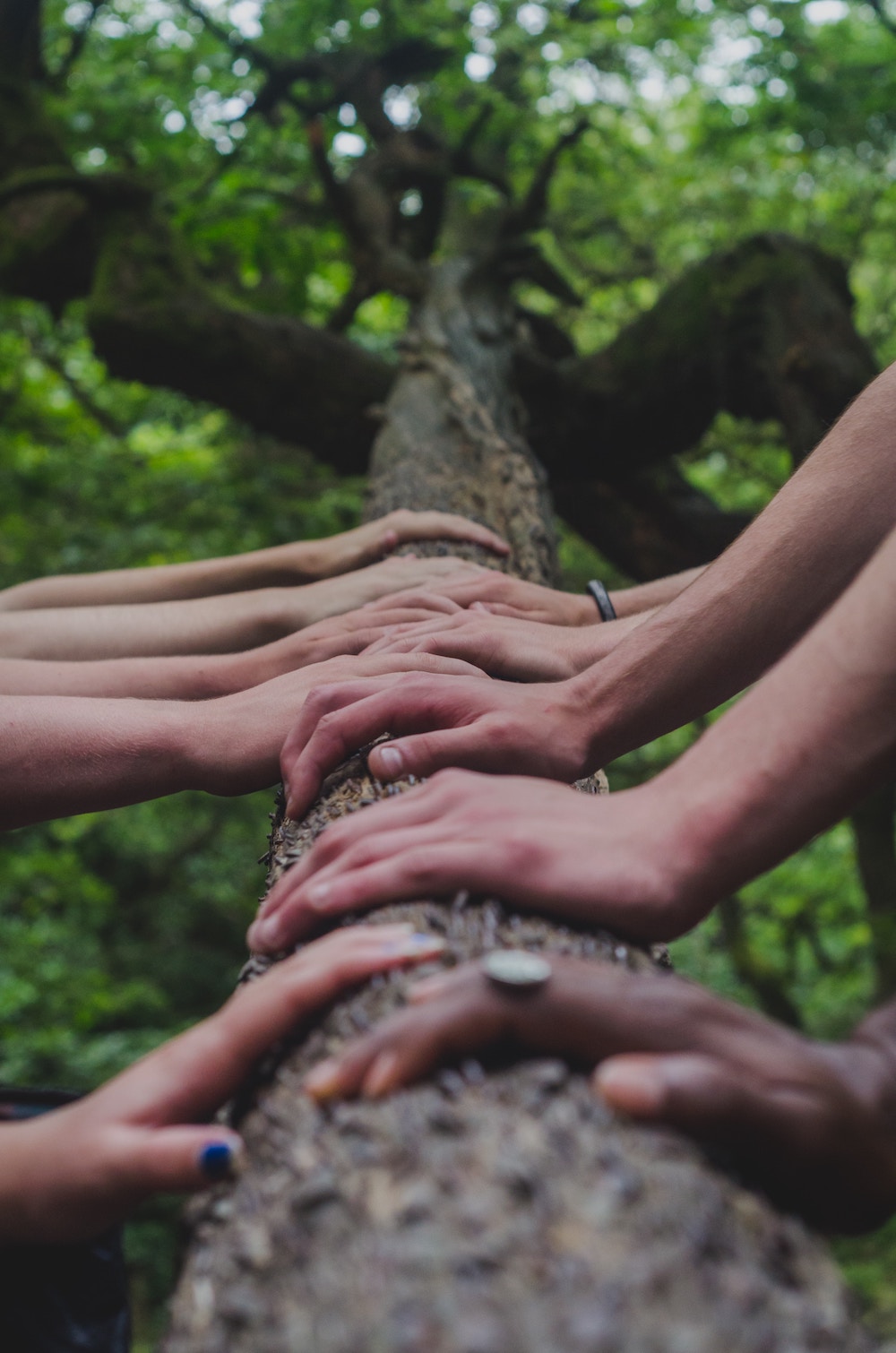 hands-on branch Natural High