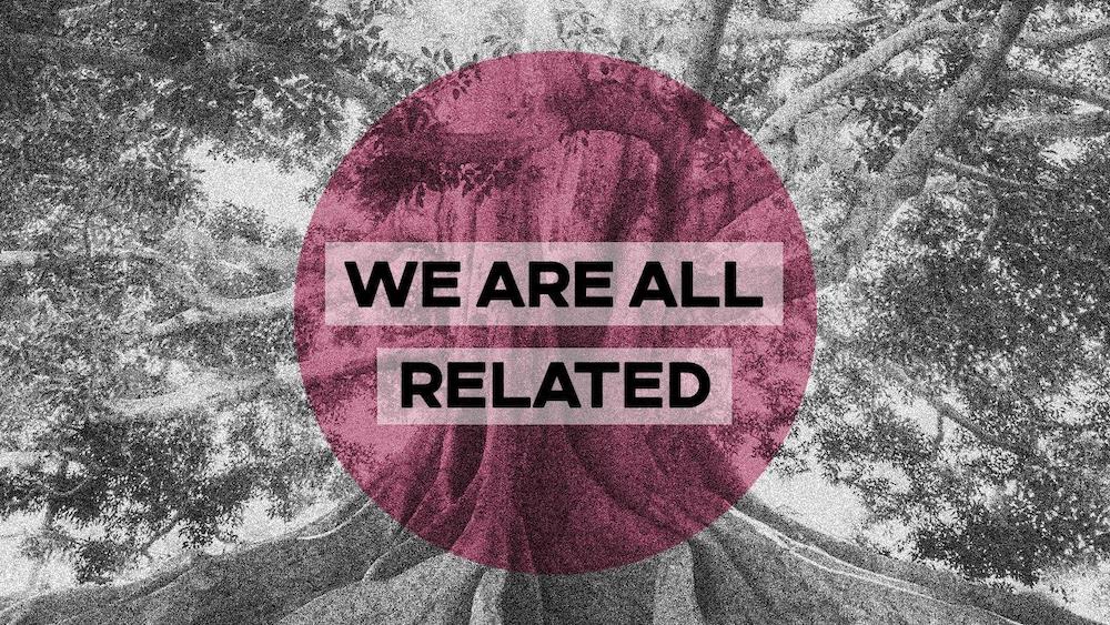 Psychedelics PART 4: RESOURCES