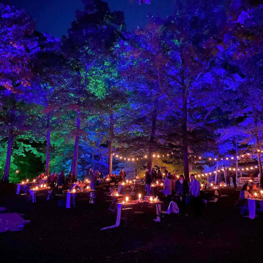 Opus 40 Fall Foliage Gala and Lighting Display