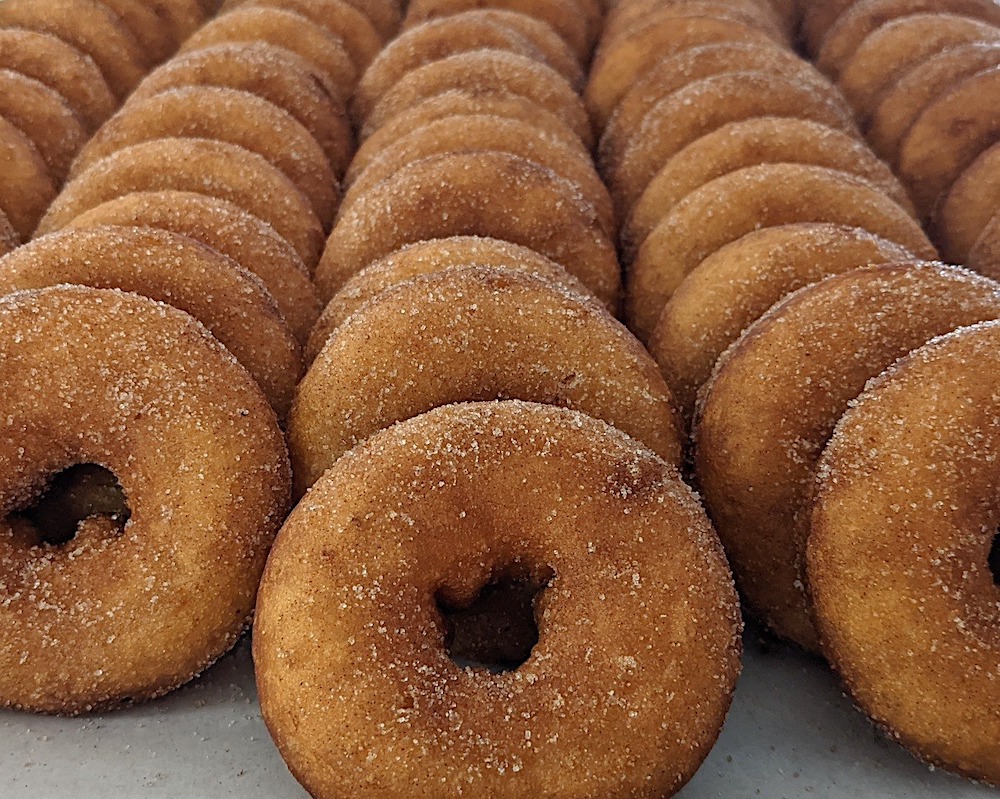 Apple Cider Donuts at Dressel Farm