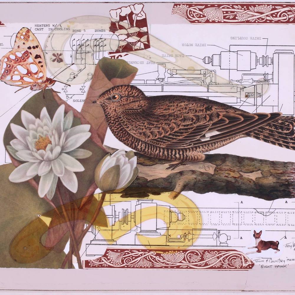 multi-disciplinary artist Fay Wood Saugerties NY