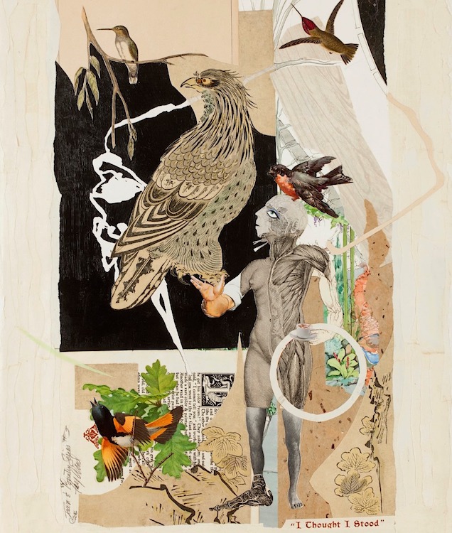 multi-disciplinary artist Fay Wood Saugerties NY