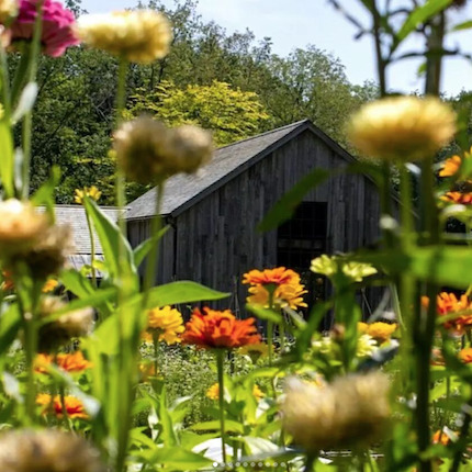 Flower Farms in the Hudson Valley