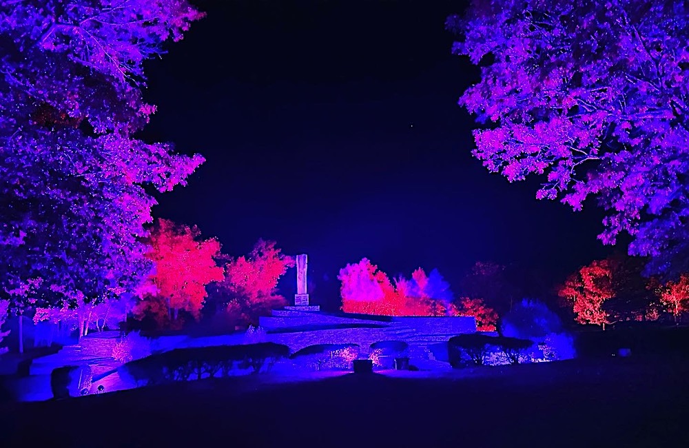 Opus 40 Fall Gala