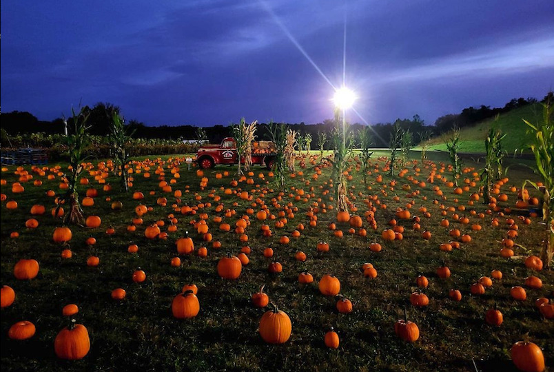 Minard's Family Farm in Clintondale NY