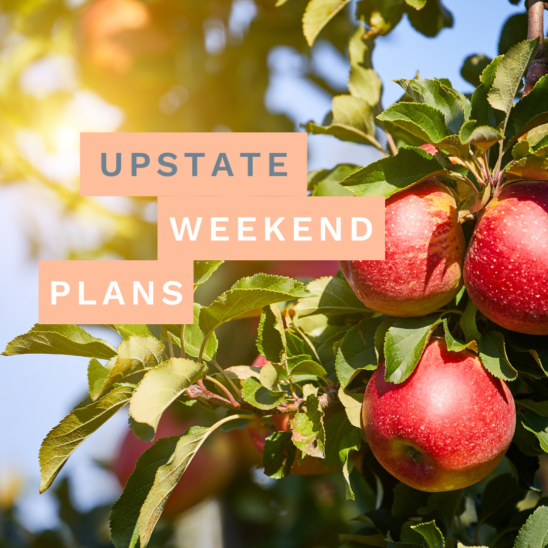apples on a farm with the "Upstate Weekend Plans" text written across the photo for the Hudson Valley, NY.